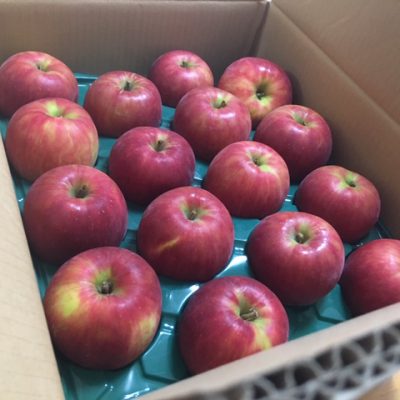 季節のスーパーフード