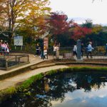 紅葉が見頃です(*^^*)