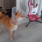 当たり前ってスゴい事