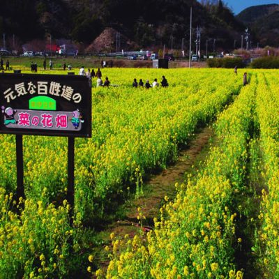 温かい季節はもう、すぐそこまで