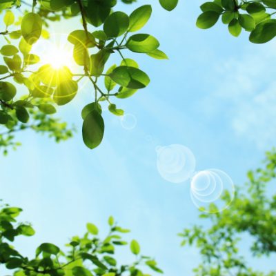 あなたの心の隙間を埋めるもの