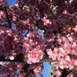 駅南店、第二駐車場にて