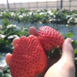 お気をつけあれ