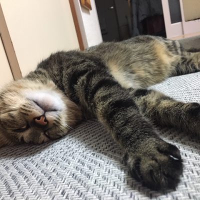 季節と肌