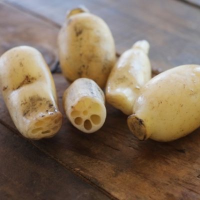 プロに任せる楽しさ