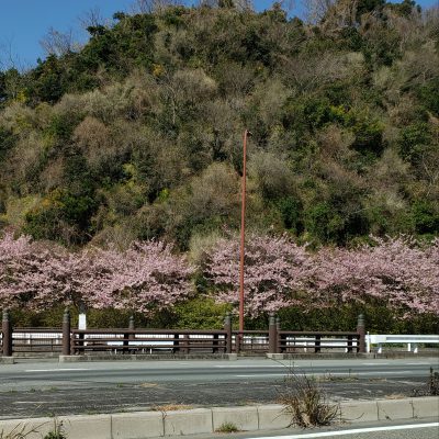 春のお肌はデリケート!