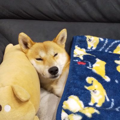 『冷えはまだまだ続くよ!ご用心』