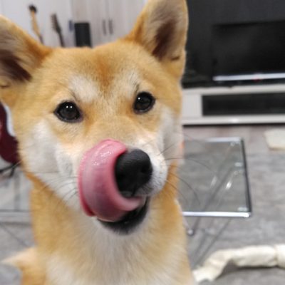 『素直が一番』