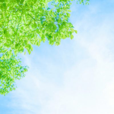 LAGEの仕事に対しての心構え~早川編~