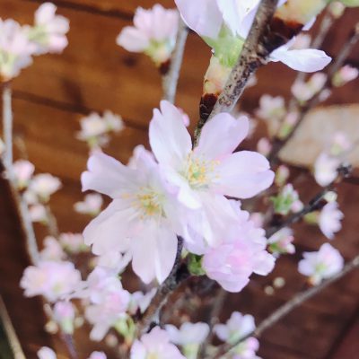 こんな時だからこそ！