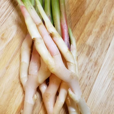 好きなモノPOWER