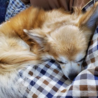 今の幸せを噛みしめたい時
