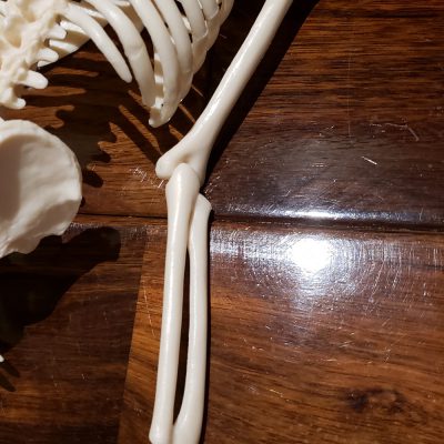 少し先の自分の変化を楽しむ☆