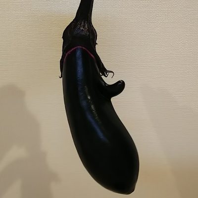 美人な茄子
