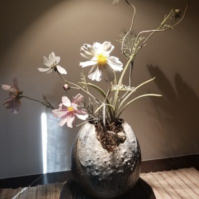 季節の変わり目