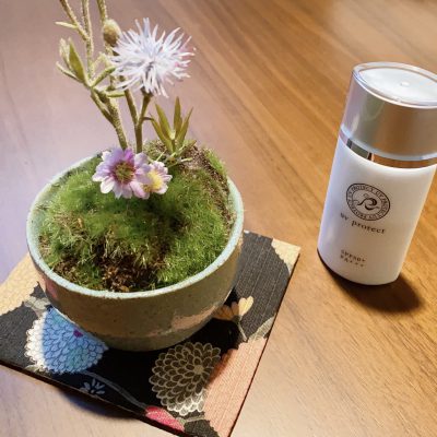 季節の肌育⋈通信⋈