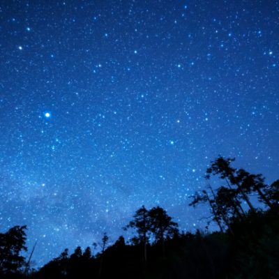 ありのまま
