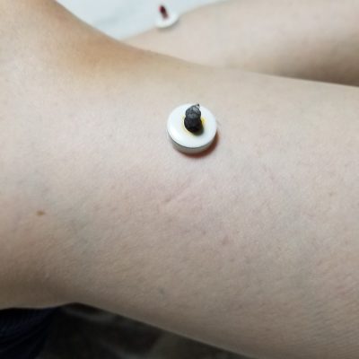 小腹と薬膳とワタシ・薬膳:白露養生編