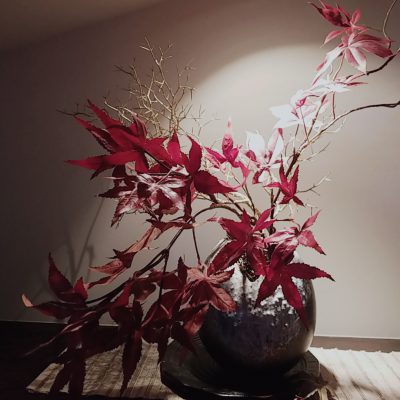 季節の変化