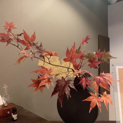 今月の。。。