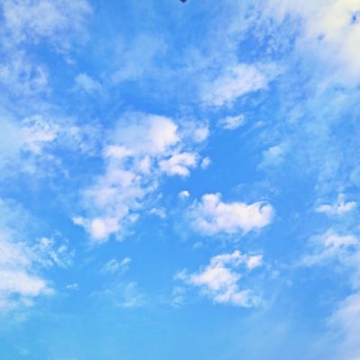 春のやさしい陽
