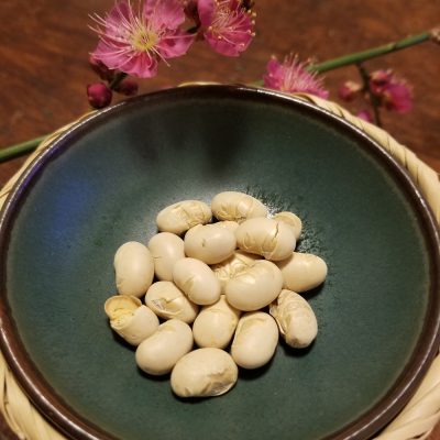 南南東に願いを込めて
