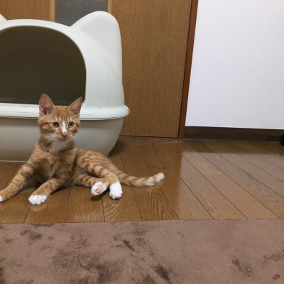 一歩入ったらみんな大切な家族