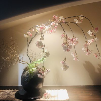 満開の桜