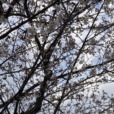 まずは自分にありがとう