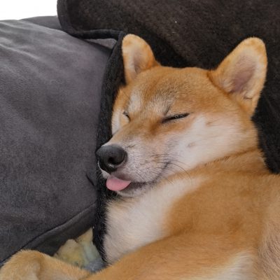 本当に同一人物