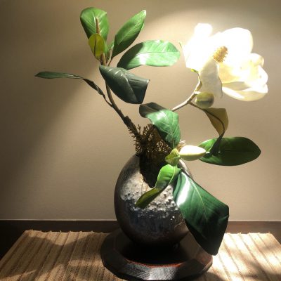 今月のお花