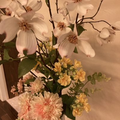 心のうるおい、季節のお花が届きました