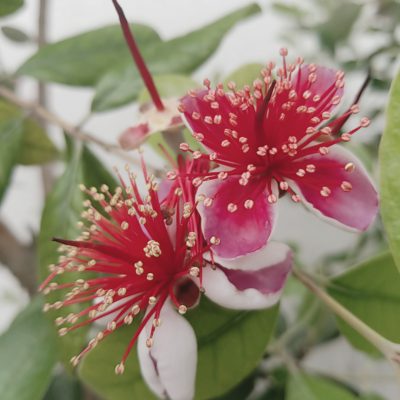 お客様から頂いたお言葉～20代のお客様～