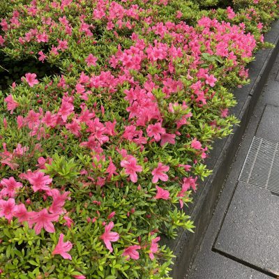 ついでを楽しむ