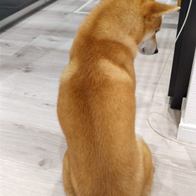『心は姿に現れる！』　