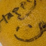 愛情を感じる☆彡