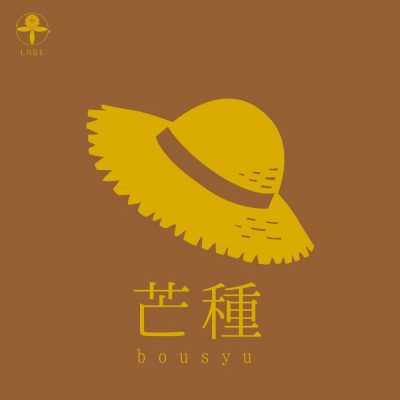 小腹と薬膳とワタシ・薬膳編/二十四節気・芒種(ぼうしゅ)