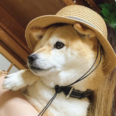 熱中症対策！