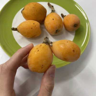 旬のフルーツ
