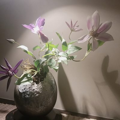 今月のお出迎え