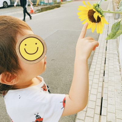 夏のおとずれ