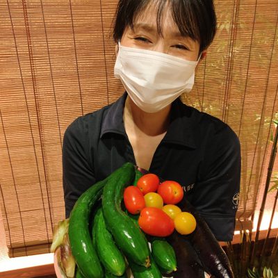 素敵な夏野菜のめぐみ