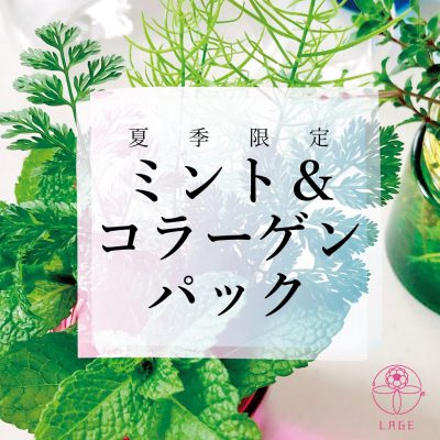☆夏季限定☆ミントパック