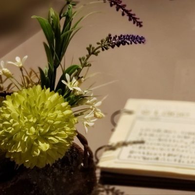 お客様から頂いたお言葉　～20代のお客様～
