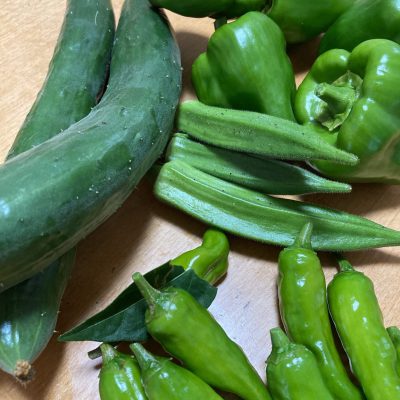 夏野菜の不思議