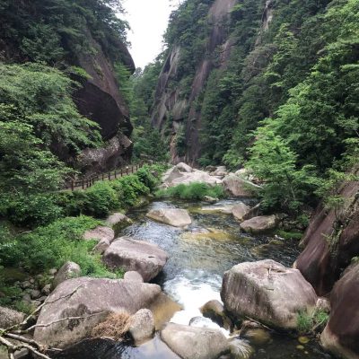 セラピー