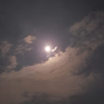秋が近づきました！