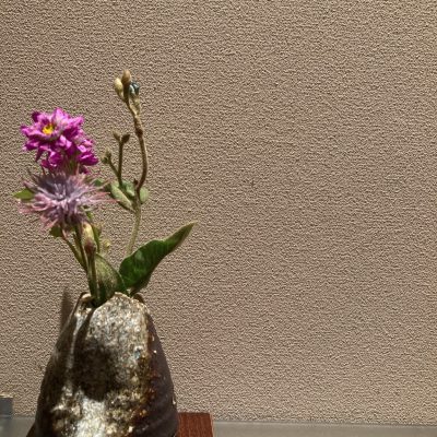～お花だより～