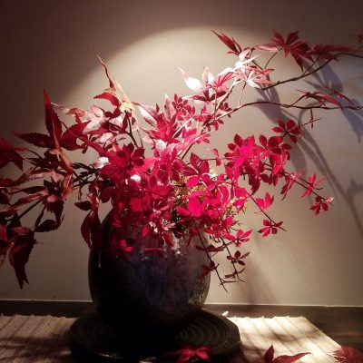～お花だより～