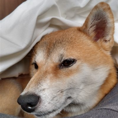 『朝から！キュン！その①』